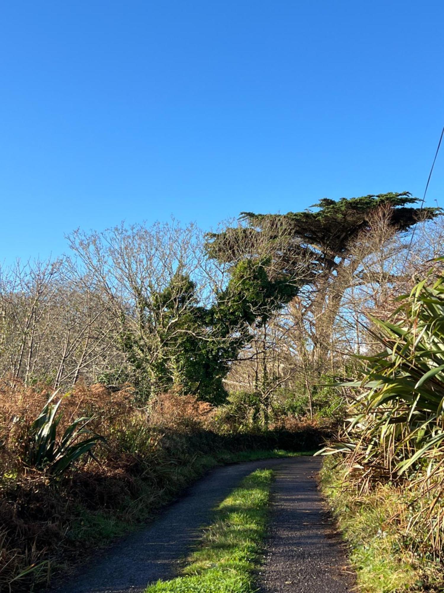 Ancaire Cottage Kilbronogue. Schull Exterior photo